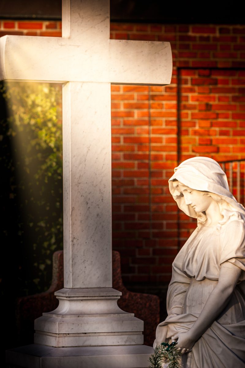 MG 2876 Luminar4 edit