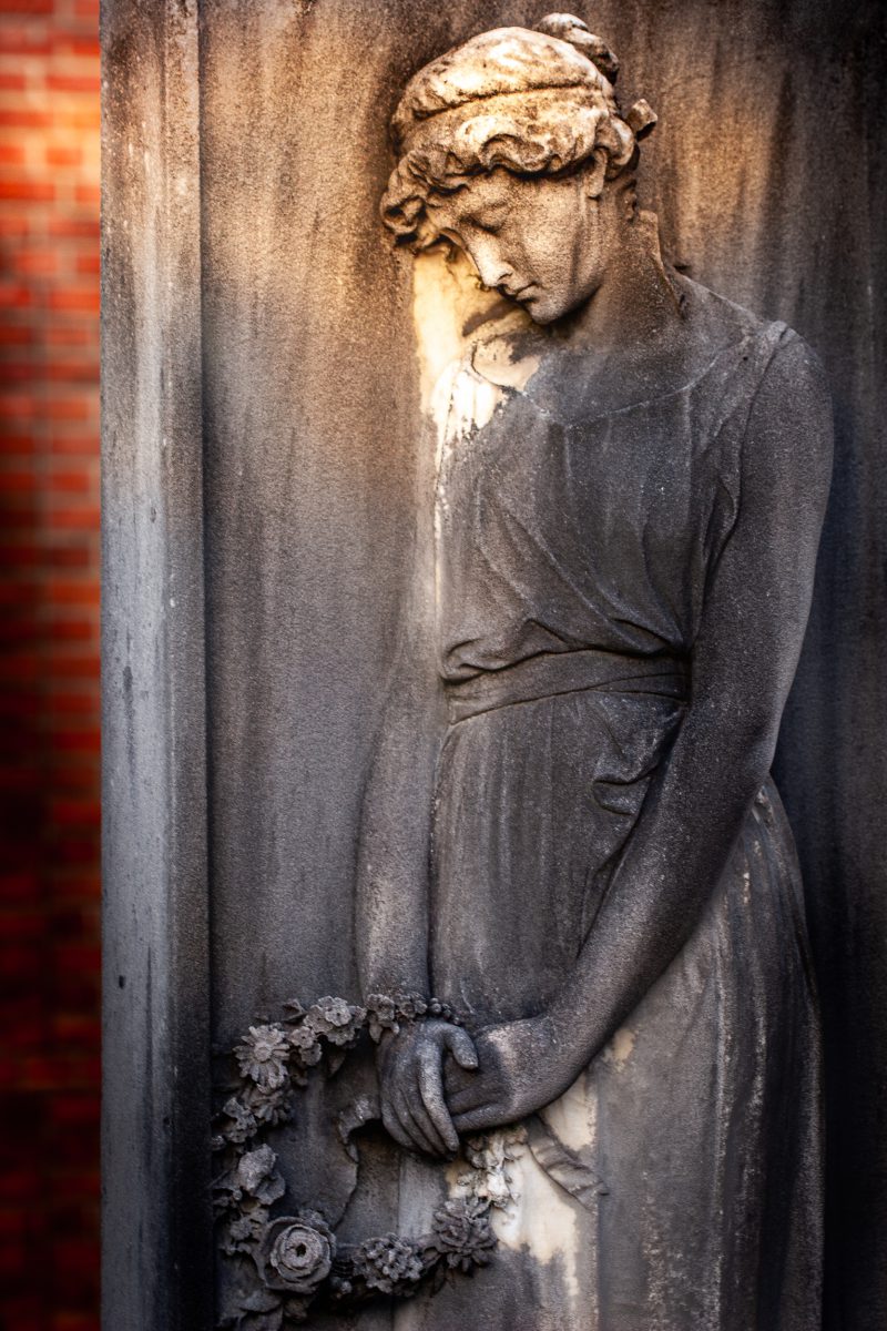 MG 2877 Luminar4 edit 1