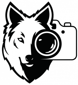 ChrisWild Logo