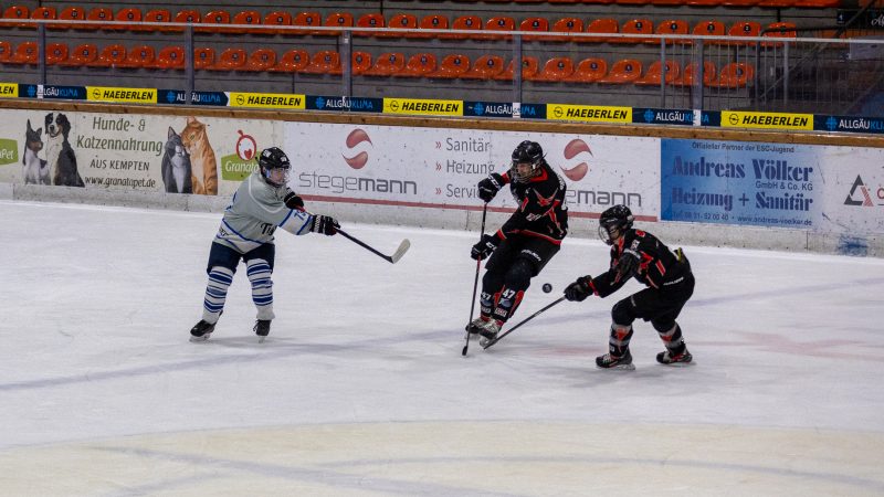 ESC Tigers Dietmannsried 108 ESC Tigers 108