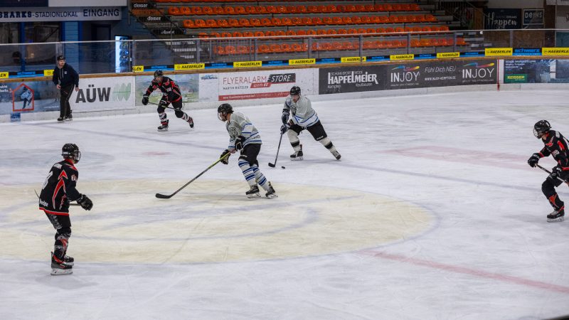 ESC Tigers Dietmannsried 17 ESC Tigers 17