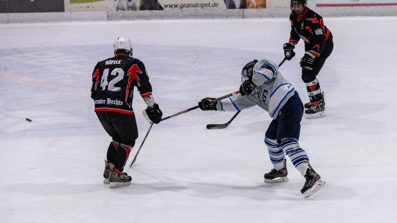 ESC Tigers Dietmannsried 196 ESC Tigers 196