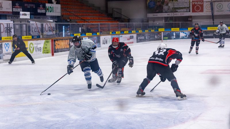 ESC Tigers Dietmannsried 206 ESC Tigers 206