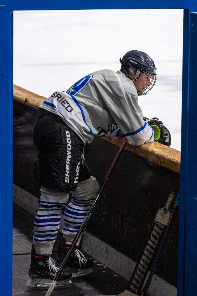 ESC Tigers Dietmannsried 26 ESC Tigers 26