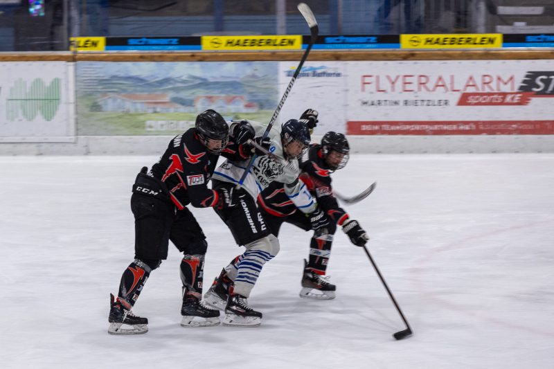 ESC Tigers Dietmannsried 34 ESC Tigers 34