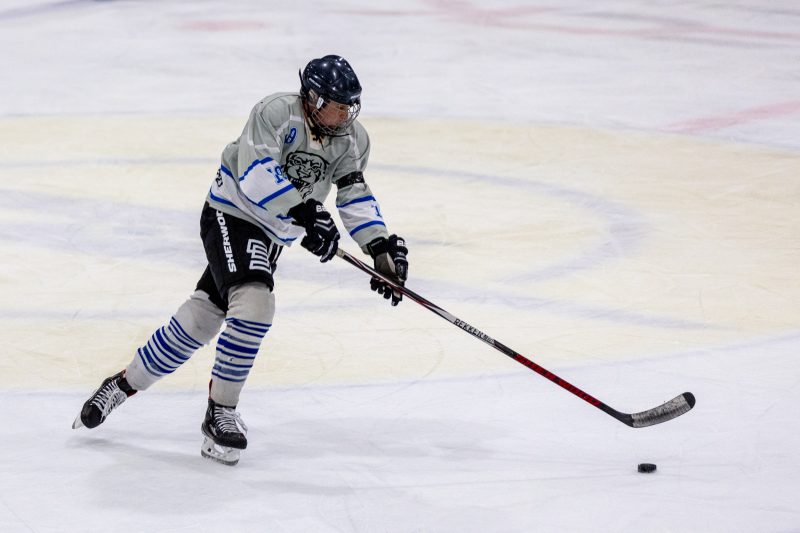 ESC Tigers Dietmannsried 45 ESC Tigers 45