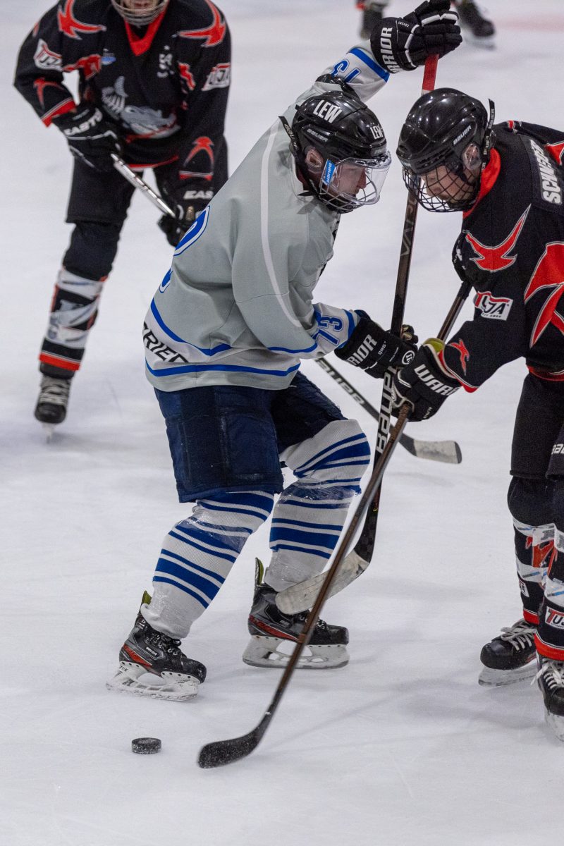 ESC Tigers Dietmannsried 77 ESC Tigers 77