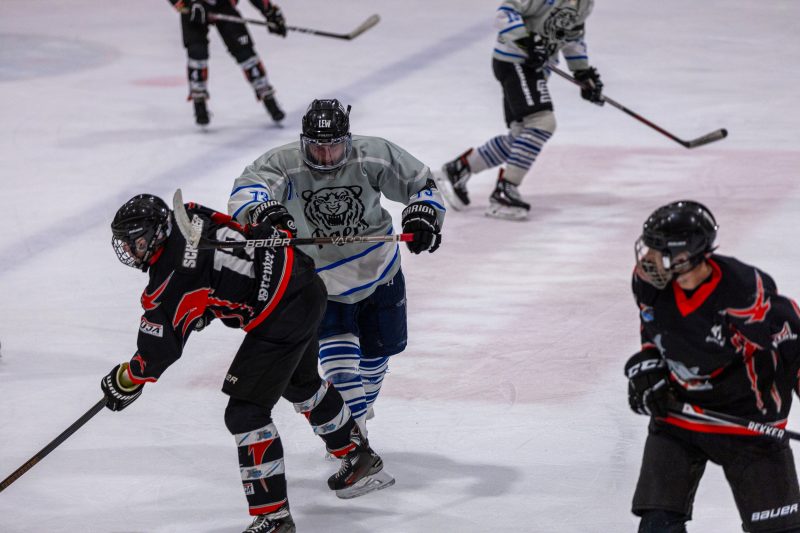 ESC Tigers Dietmannsried 79 ESC Tigers 79