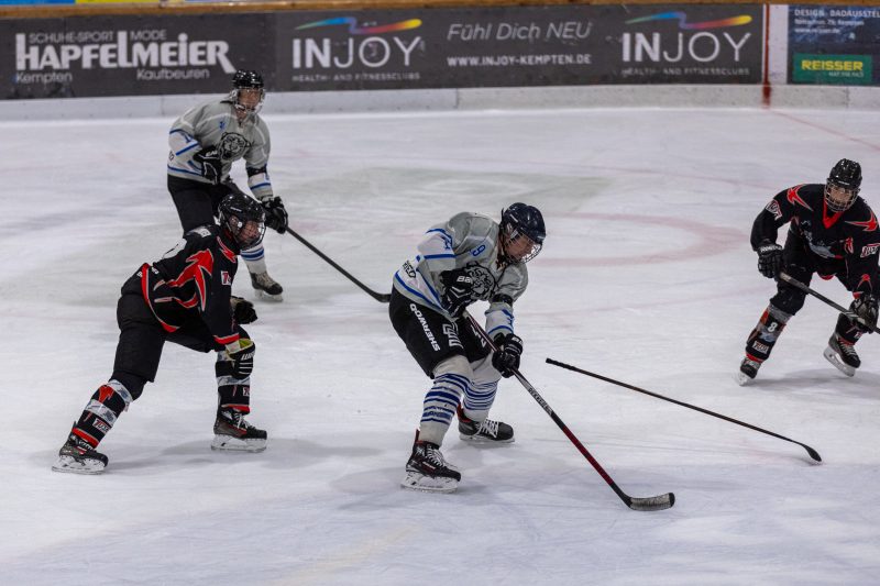 ESC Tigers Dietmannsried 81 ESC Tigers 81