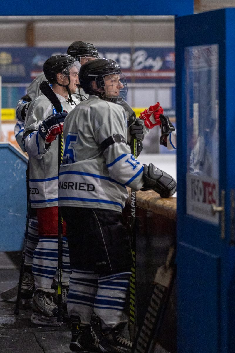 ESC Tigers Dietmannsried 84 ESC Tigers 84