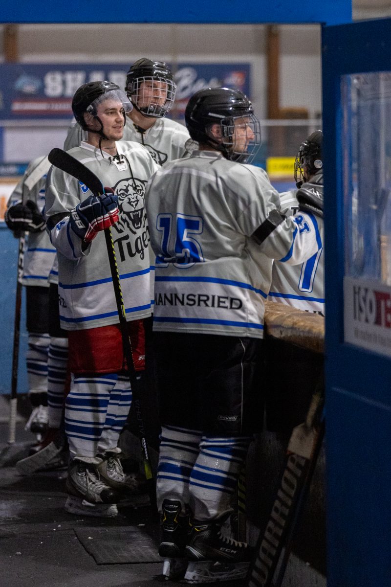 ESC Tigers Dietmannsried 85 ESC Tigers 85