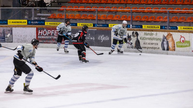 ESC Tigers Dietmannsried 91 ESC Tigers 91