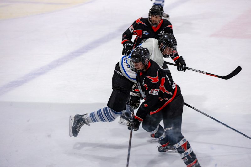 ESC Tigers Dietmannsried 96 ESC Tigers 96