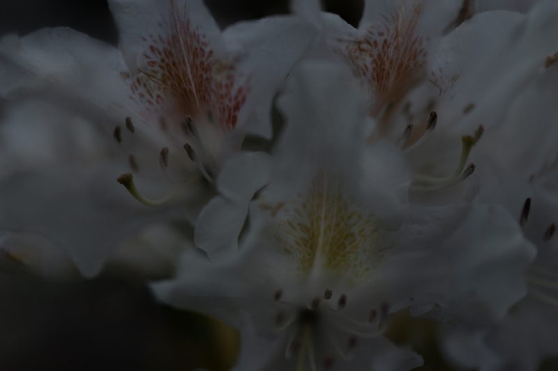 OSR0158 Bearbeitet Bearbeitet