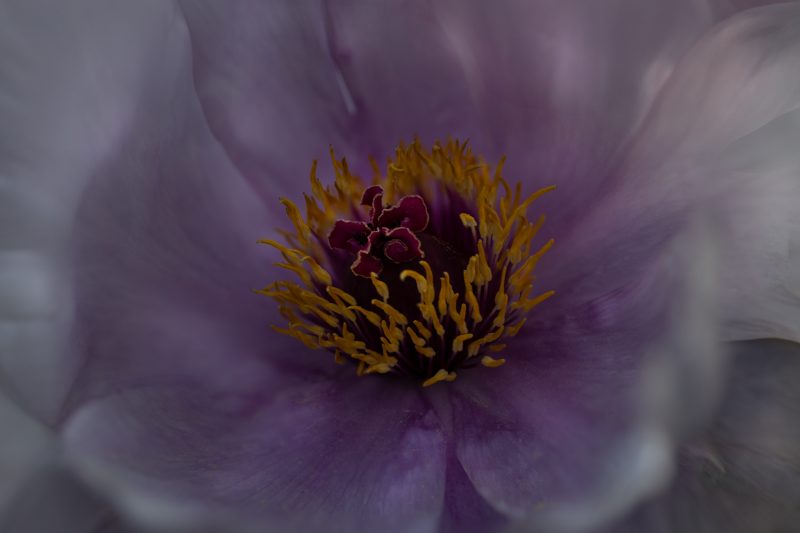 OSR0286 Bearbeitet 2