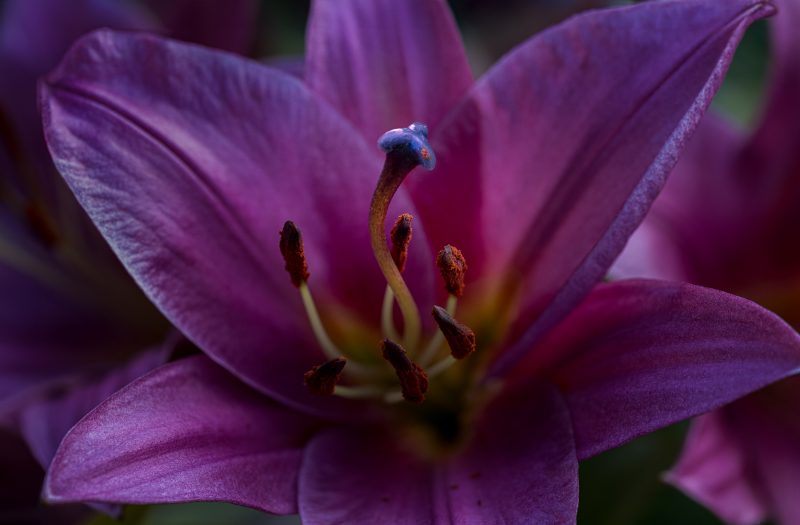 OSR0593 Bearbeitet Bearbeitet