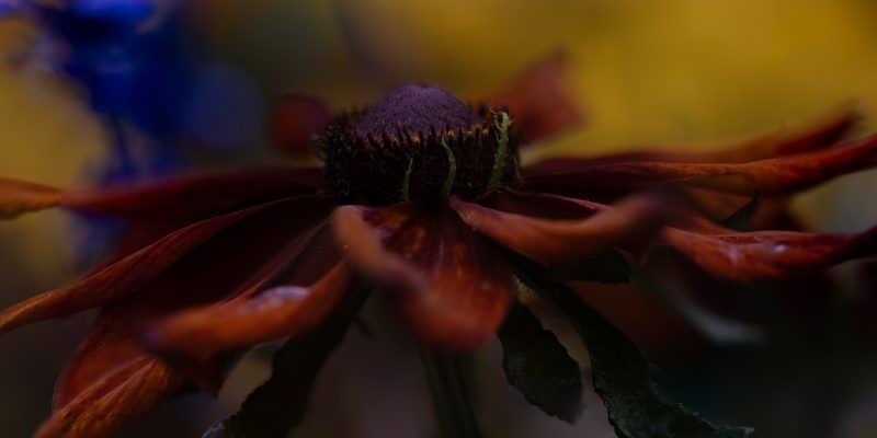 OSR0639 Bearbeitet 3