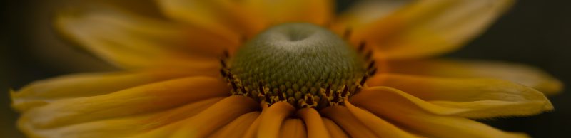 OSR0699 Bearbeitet 2