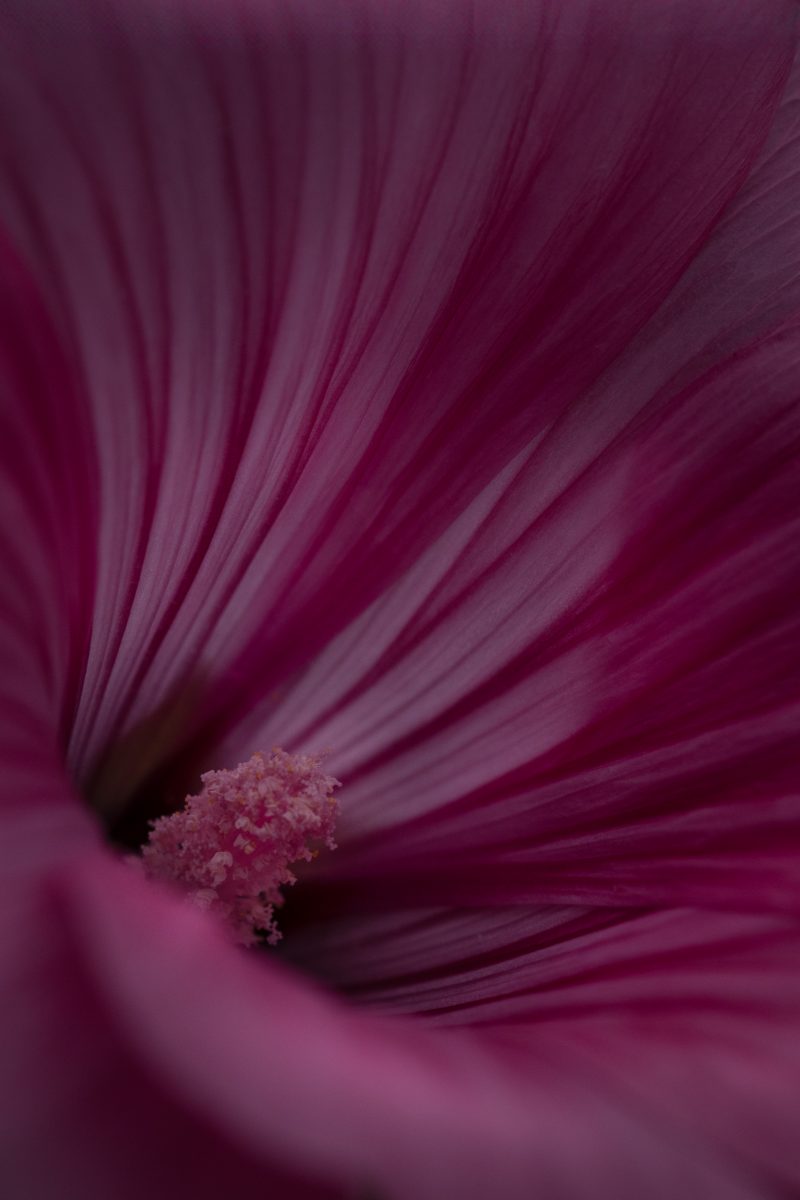 OSR0728 Bearbeitet 2