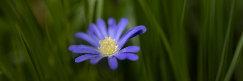 OSR9034 Bearbeitet 2