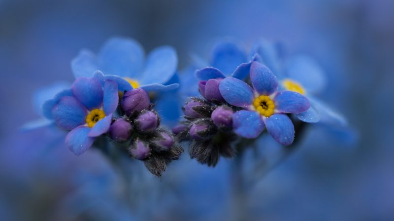 OSR9207 Bearbeitet Bearbeitet Bearbeitet