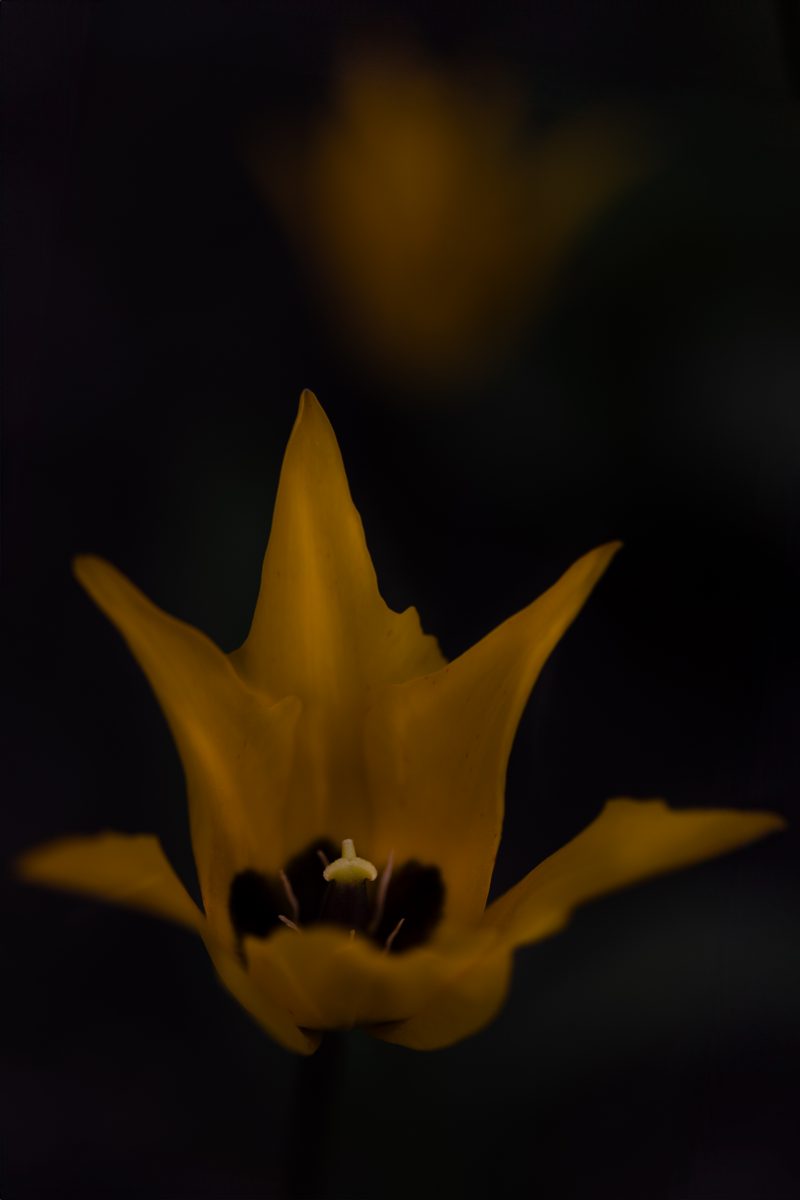 OSR9508 Bearbeitet 2