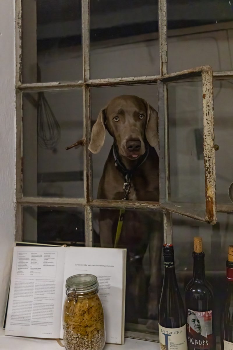 LK E-Werk Dining Event 215 LK E Werk Dining 215