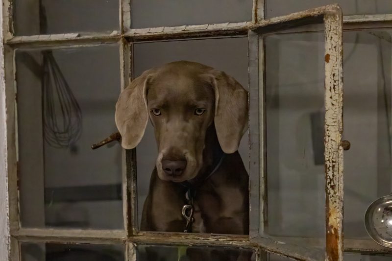 LK E Werk Dining 216