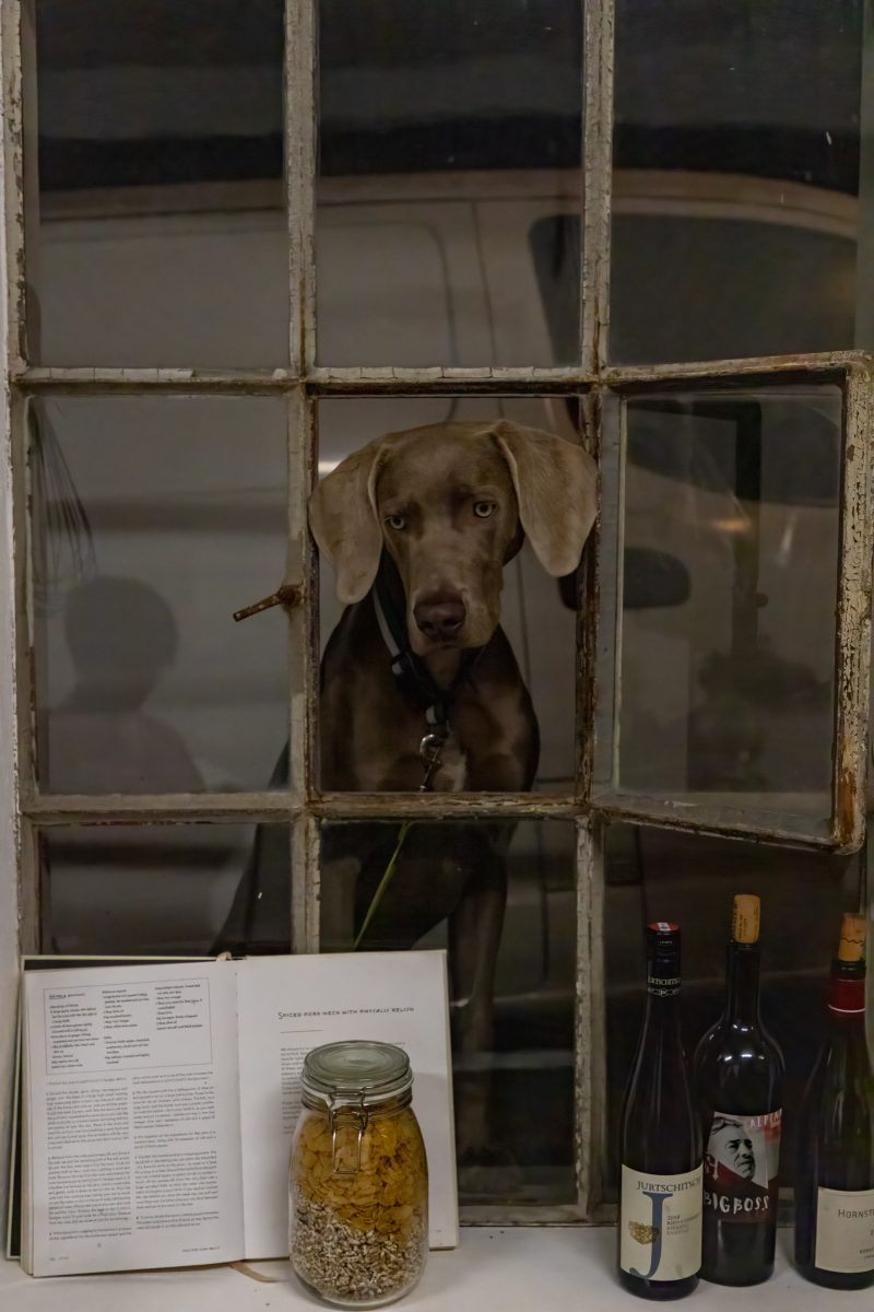 LK E-Werk Dining Event 217 LK E Werk Dining 217