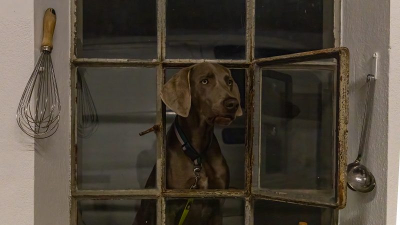 LK E-Werk Dining Event 218 LK E Werk Dining 218