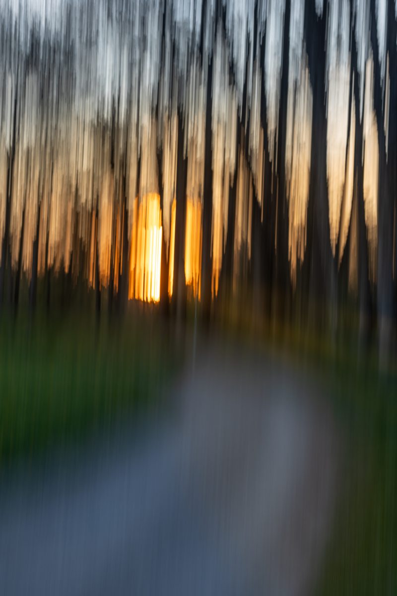 OSR1967 Pano Bearbeitet