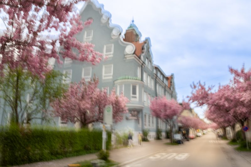 IDEAM Collection Enchanted Kempten 15