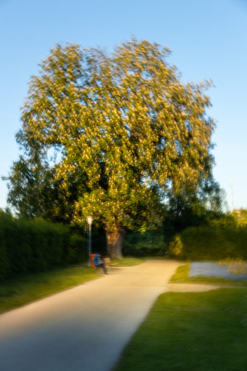 IDEAM Collection Enchanted Kempten 46